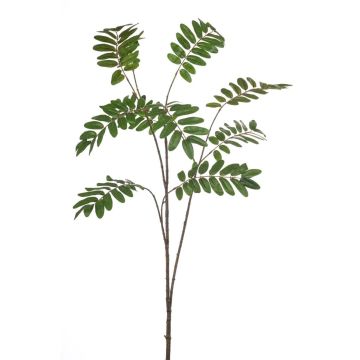 Dekorativní větev mahonie MANIESA, zelená, 150cm