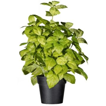 Umělá bazalková bylina WONDYR v dekorativním květináči, zelená, 30cm Umělá bazalková bylina WONDYR v dekorativním květináči, zelená, 30cm