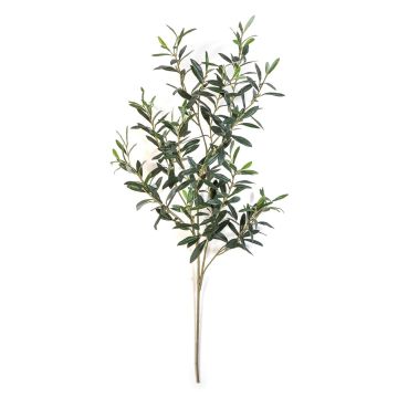 Umělá olivová větvička LORRIS, nehořlavá, zelená, 110cm Umělá olivová větvička LORRIS, nehořlavá, zelená, 110cm