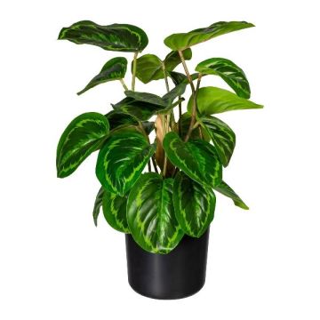 Umělá rostlina Calathea medailon STRAHN, zelená, 45cm Umělá rostlina Calathea medailon STRAHN, zelená, 45cm