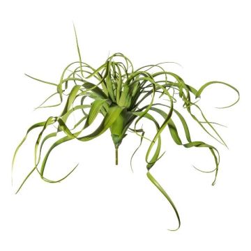 Umělý sukulent Tillandsia streptophylla KRIFT, tyč, zelená, 70cm