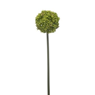 Umělé allium TUXLON, zelené, 75cm