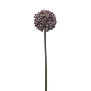 Umělé allium TUXLON, fialové, 75cm Umělé allium TUXLON, fialové, 75cm