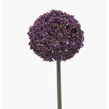 Umělé allium TUXLON, tmavě fialové, 75cm