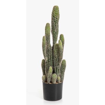 Umělý kaktus San Pedro FARIN, zelený, 75cm