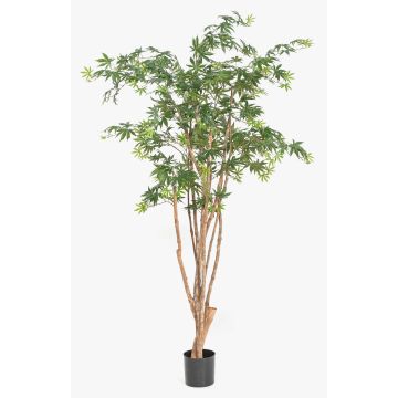 Umělý japonský javor ILIANU, skutečný kmen, zelený, 180cm