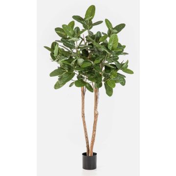 Umělý fíkovník banyánový LEIFA s liánami, skutečný kmen, zelený, 200 cm Umělý fíkovník banyánový LEIFA s liánami, skutečný kmen, zelený, 200 cm