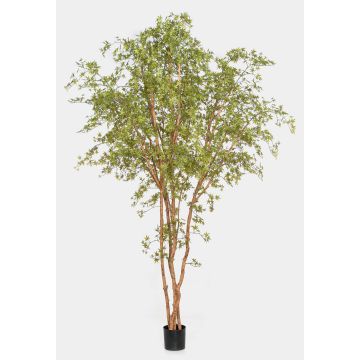 Umělá rostlina japonský javor ZEDRIC, pravý kmen, zelený, 330cm