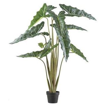 Umělá rostlina Alocasia Sanderiana NARLO, dekorativní květináč, zelená, 130cm Umělá rostlina Alocasia Sanderiana NARLO, dekorativní květináč, zelená, 130cm