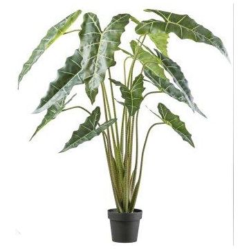 Umělá rostlina Alocasia Sanderiana NARLO, dekorativní květináč, zelená, 160cm Umělá rostlina Alocasia Sanderiana NARLO, dekorativní květináč, zelená, 160cm