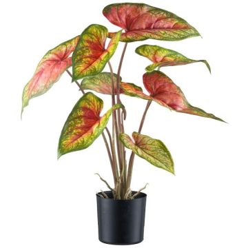 Umělá rostlina Caladium STAHER, kořeny, červená-zelená, 55cm