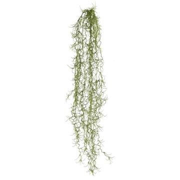 Umělý sukulent Tillandsia usneoides BLIMFY, závěsná tyč, tmavě zelená, 80cm Umělý sukulent Tillandsia usneoides BLIMFY, závěsná tyč, tmavě zelená, 80cm