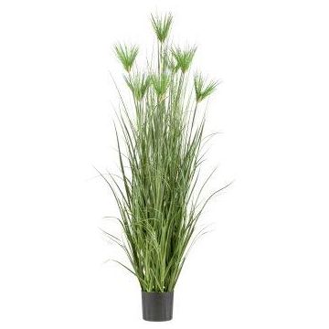 Umělá rostlina papyrus WURKA, zelená, 180cm