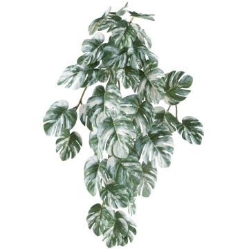 Dekorativní závěsná rostlina Philodendron monstera deliciosa variegata TRANE, tyčková, zelenobílá, 50cm Dekorativní závěsná rostlina Philodendron monstera deliciosa variegata TRANE, tyčková, zelenobílá, 50cm