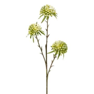 Umělá květinová větvička Allium GLORF, zelenobílá, 60cm