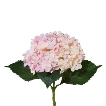 Umělá hortenzie ZURTO, světle růžová, 55cm
