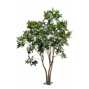 Umělý strom Pachira RAXELI na talíři, umělé stonky, zelená, 285cm Umělý strom Pachira RAXELI na talíři, umělé stonky, zelená, 285cm