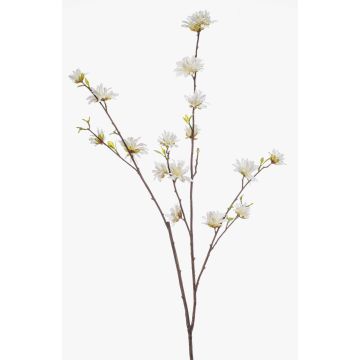 Dekorativní větvička čarověníku ZAVNER s květy, bílá, 110cm