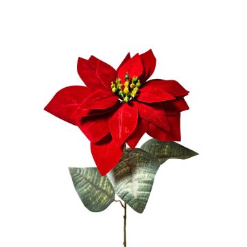 Umělá sametová poinsettie LIBASSE, červená, 65cm