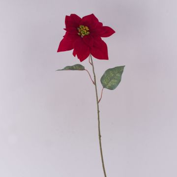 Umělá sametová poinsettie LIBASSE, červená, 65cm Umělá sametová poinsettie LIBASSE, červená, 65cm