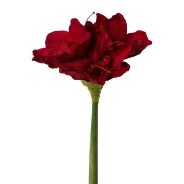Umělý květ amarylisu WELBA, tmavě červený, 65cm Umělý květ amarylisu WELBA, tmavě červený, 65cm