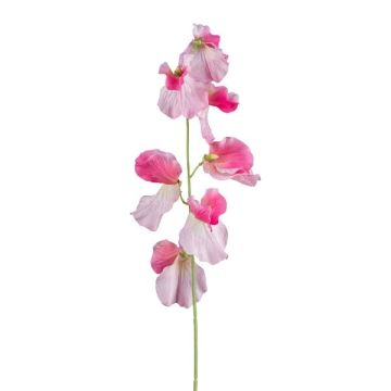 Umělá květina Lathyrus latifolius TERRAT, růžová, 50cm Umělá květina Lathyrus latifolius TERRAT, růžová, 50cm