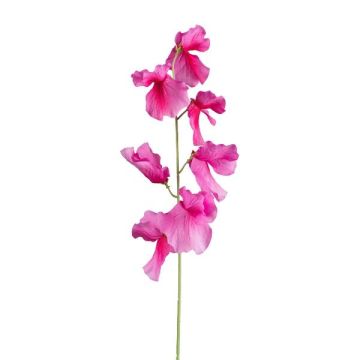 Umělá květina Lathyrus latifolius TERRAT, fialová, 50cm Umělá květina Lathyrus latifolius TERRAT, fialová, 50cm