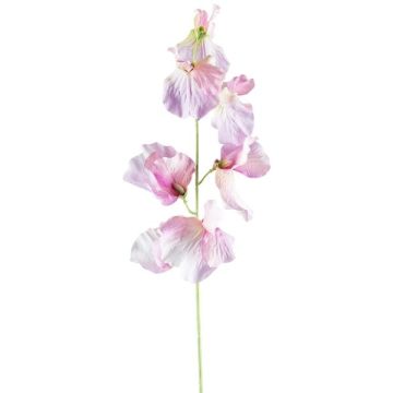 Umělá květina Lathyrus latifolius TERRAT, tmavě růžovo-zelená, 50cm Umělá květina Lathyrus latifolius TERRAT, tmavě růžovo-zelená, 50cm
