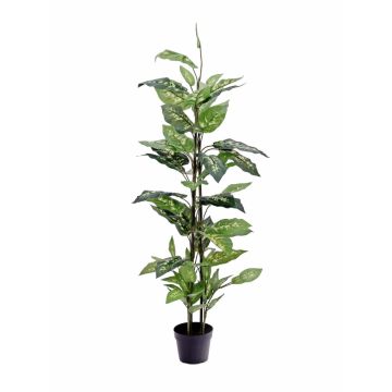 Umělá dieffenbachia DANY na zápichu, zeleno-bílá, 120cm Umělá dieffenbachia DANY na zápichu, zeleno-bílá, 120cm