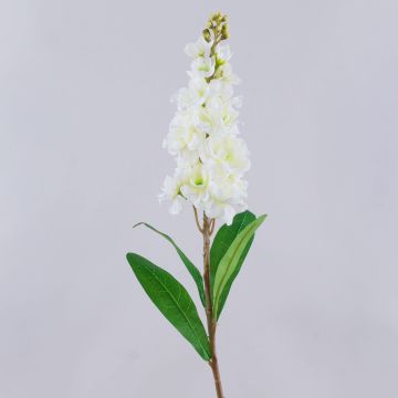 Umělá květina Levkoje BARIADE, bílo-krémová, 85cm Umělá květina Levkoje BARIADE, bílo-krémová, 85cm
