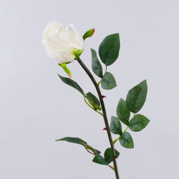Umělá růže SUNJIK, krémová, 75cm Umělá růže SUNJIK, krémová, 75cm