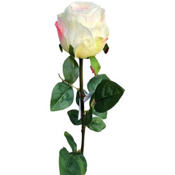 Umělá růže SUNJIK, krémově růžová, 75cm