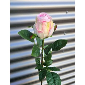 Umělá růže SUNJIK, růžovo-krémová, 75cm