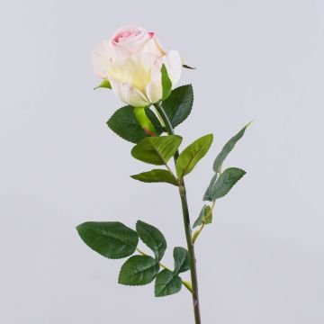 Umělá růže SUNJIK, růžovo-krémová, 75cm