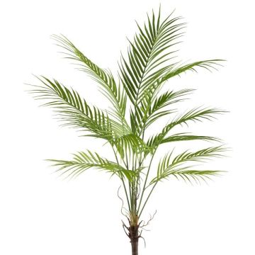 Umělá rostlina Areca palma WUBRI na tyči, vzdušné kořeny, 95cm Umělá rostlina Areca palma WUBRI na tyči, vzdušné kořeny, 95cm