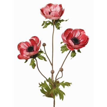 Sametová větev sasanky WINFAS, fialová, malvová, 75cm, Ø9-11cm Sametová větev sasanky WINFAS, fialová, malvová, 75cm, Ø9-11cm