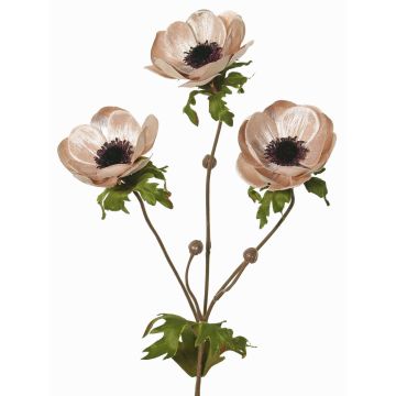 Sametová větvička sasanky WINFAS, světle růžová, 75cm, Ø9-11cm Sametová větvička sasanky WINFAS, světle růžová, 75cm, Ø9-11cm