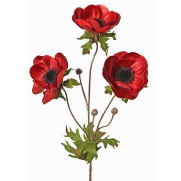 Větvička sametové sasanky WINFAS, tmavě červená, 75cm, Ø9-11cm Větvička sametové sasanky WINFAS, tmavě červená, 75cm, Ø9-11cm