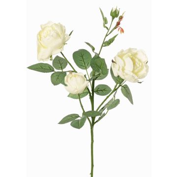 Textilní větvička růže DIAMANTIS, krémová, 70cm, Ø5-8cm Textilní větvička růže DIAMANTIS, krémová, 70cm, Ø5-8cm