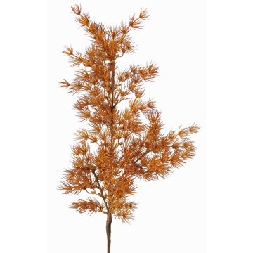 Umělá větev Asparagus umbellatus DIKERNO, oranžovo-hnědá, 75cm Umělá větev Asparagus umbellatus DIKERNO, oranžovo-hnědá, 75cm