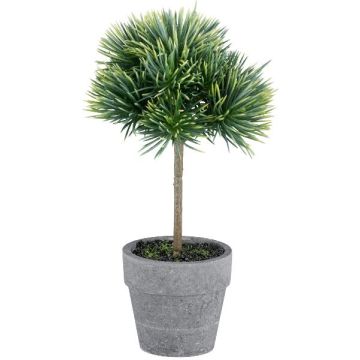 REKNY umělý cedr, umělý kmen, dekorativní květináč, zelený, 19cm