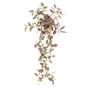 Umělá rostlina Tradescantia zebrina DIHALLO na tyči, závěsná, zelenofialová, 70cm