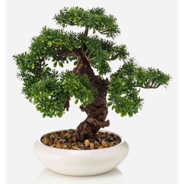 Umělý bonsaj fíkus MIRSANDA v bonsajovém květináči, 35cm