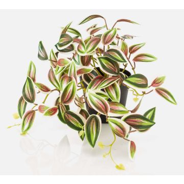 Umělá rostlina Tradescantia zebrina DIHALLO v dekorativním květináči, zeleno-červená, 19cm Umělá rostlina Tradescantia zebrina DIHALLO v dekorativním květináči, zeleno-červená, 19cm