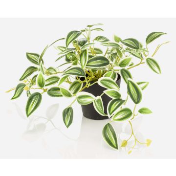 Umělá rostlina Tradescantia zebrina DIHALLO v dekorativním květináči, zelenobílá, 19cm Umělá rostlina Tradescantia zebrina DIHALLO v dekorativním květináči, zelenobílá, 19cm