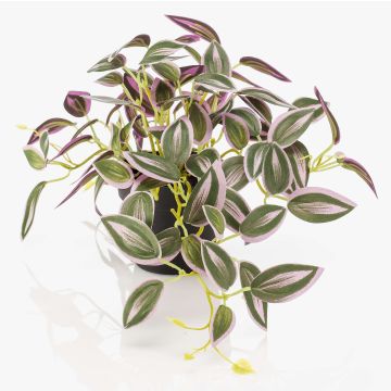 Umělá rostlina Tradescantia zebrina DIHALLO v dekorativním květináči, zelenofialová, 19cm Umělá rostlina Tradescantia zebrina DIHALLO v dekorativním květináči, zelenofialová, 19cm