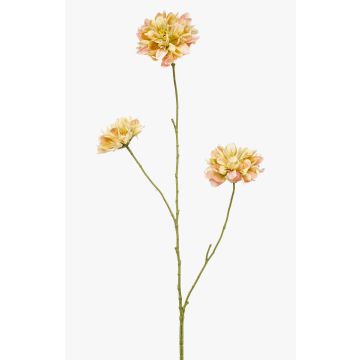 Dekorativní větvička Scabiosa DIHALLY, žluto-broskvová, 80cm Dekorativní větvička Scabiosa DIHALLY, žluto-broskvová, 80cm