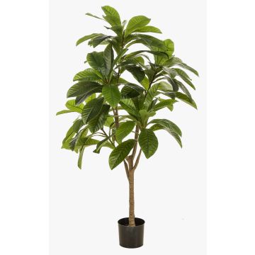 Umělý strom Frangipani MORSHA, umělý kmen, zelený, 145cm Umělý strom Frangipani MORSHA, umělý kmen, zelený, 145cm