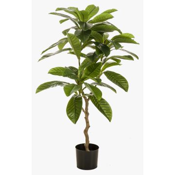 Umělý strom Frangipani MORSHA, umělý kmen, zelený, 110cm Umělý strom Frangipani MORSHA, umělý kmen, zelený, 110cm
