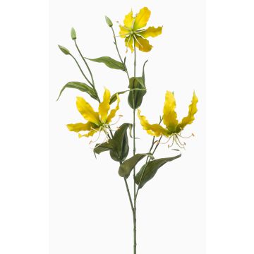 Dekorativní větvička Gloriosa TROFEL, žlutozelená, 90cm Dekorativní větvička Gloriosa TROFEL, žlutozelená, 90cm
